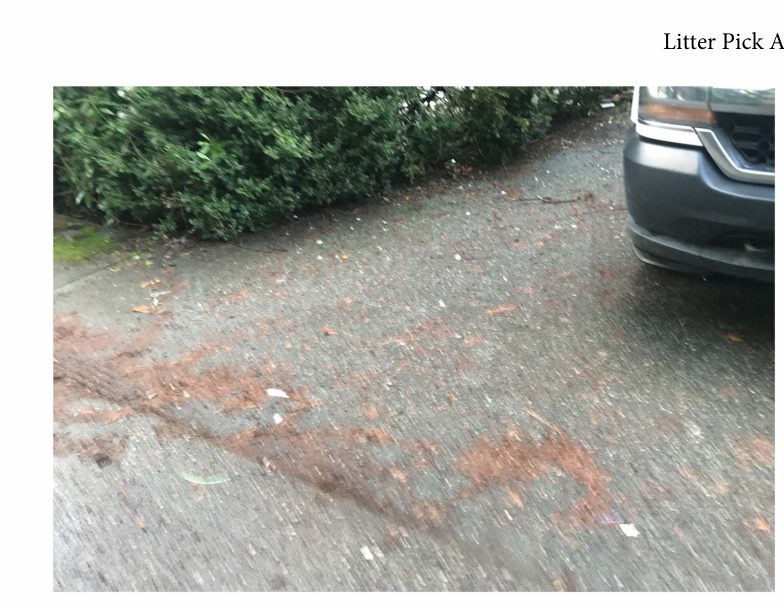 City of Seattle homeless encampment cleanup at Magnuson Park, 2022-01-04 (Laurelhurst/Sand Point)
