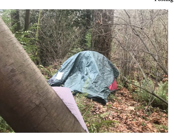City of Seattle homeless encampment cleanup at Viretta Park, 2023-01-05 (Madrona/Leschi)