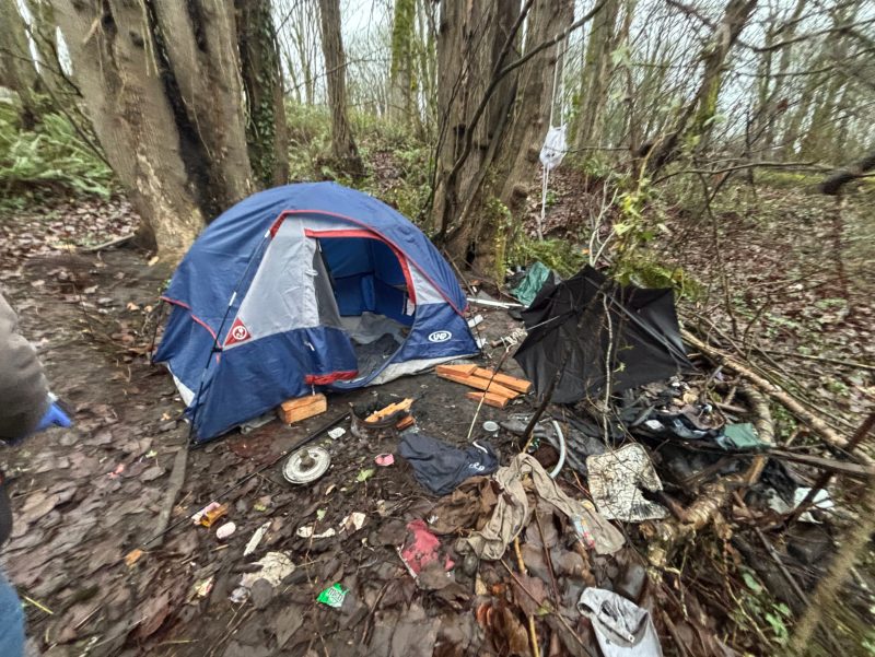 City of Seattle homeless encampment cleanup at longfellow creek greenspace east & sylvan way sw, 2026-01-07 (High Point)