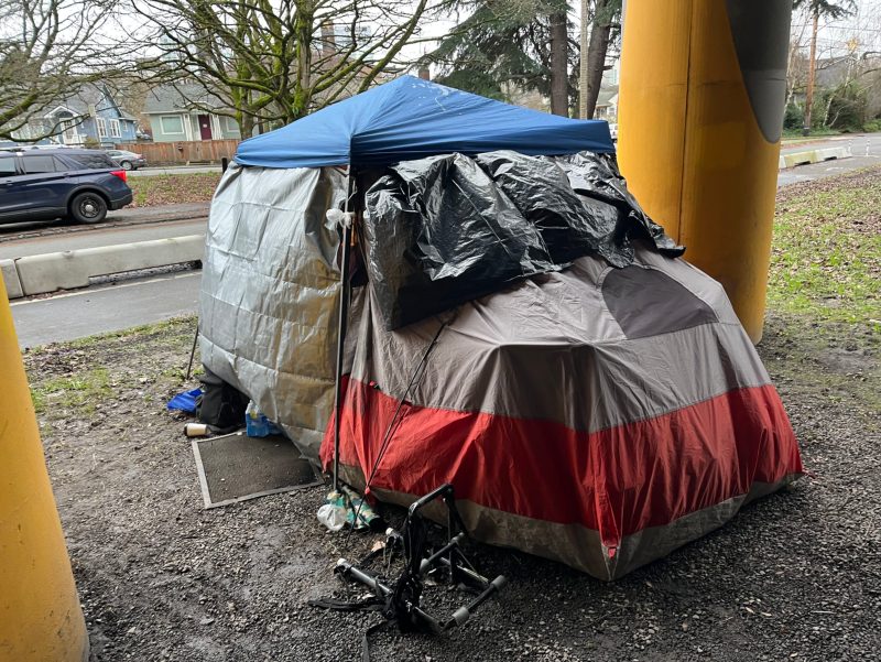 City of Seattle homeless encampment cleanup at ne ravenna blvd & ne 65th st, 2026-01-09 (Green Lake)