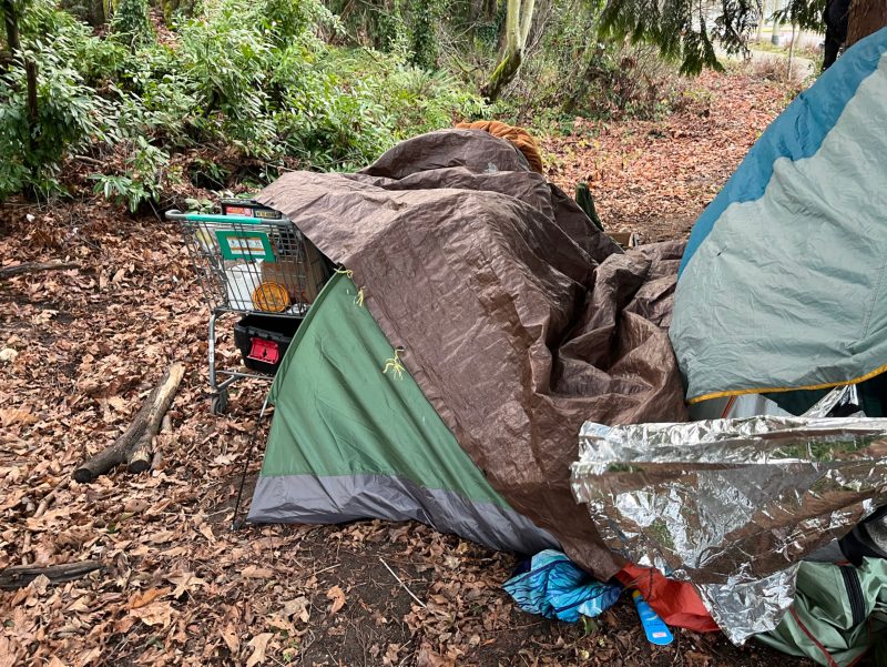City of Seattle homeless encampment cleanup at seaview ave nw and the burke gilman trail & seaview pl nw, 2026-01-20 (Sunset Hill/Loyal Heights)