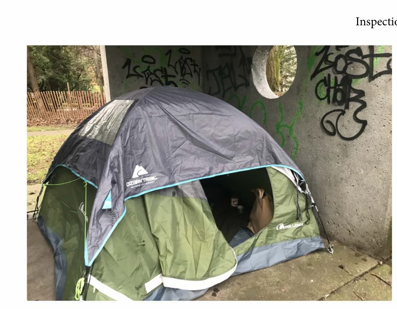 City of Seattle homeless encampment cleanup at Commodore Park, 2022-01-26 (Magnolia)