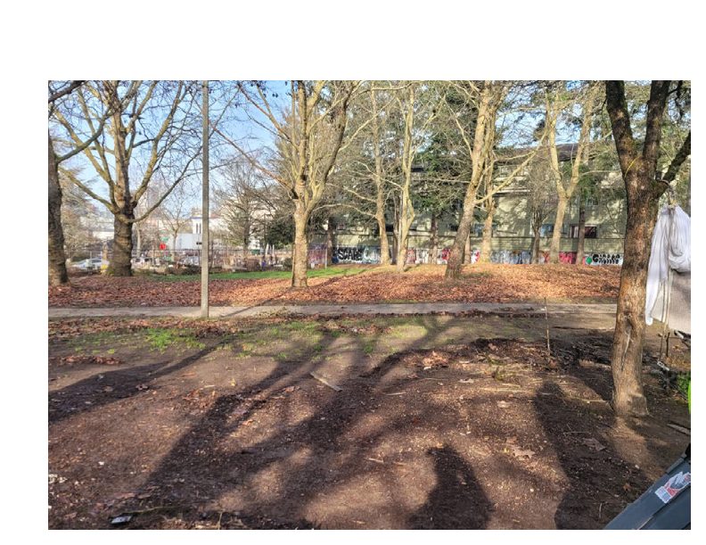 City of Seattle homeless encampment cleanup at Pratt Park, 2022-01-28 (Judkins Park)