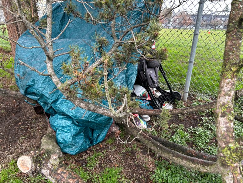 City of Seattle homeless encampment cleanup at 11th ave nw & nw 54th st, 2026-01-30 (Ballard)
