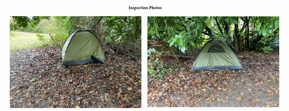 City of Seattle homeless encampment cleanup at Bhy Kracke Park, 2025-01-31 (Queen Anne)