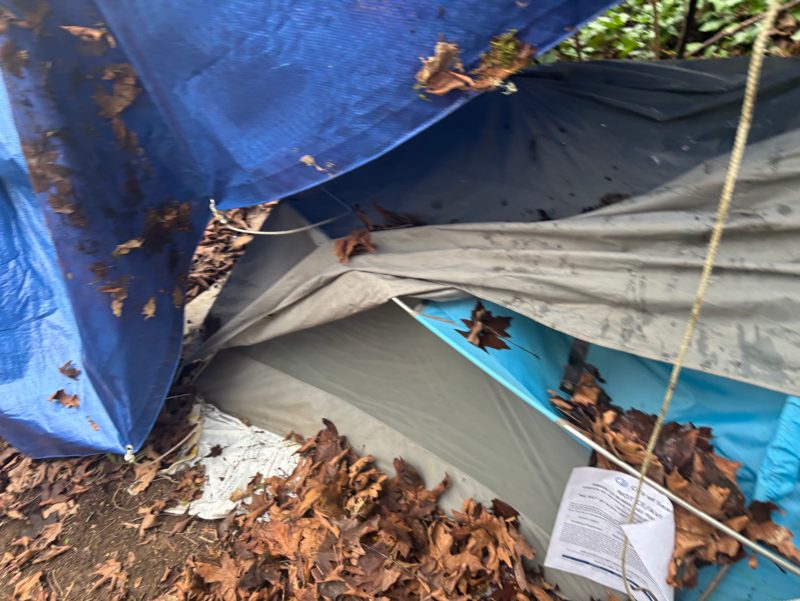 City of Seattle homeless encampment cleanup at ne 95th st & 20th ave ne, 2026-02-13 (Northgate/Maple Leaf)