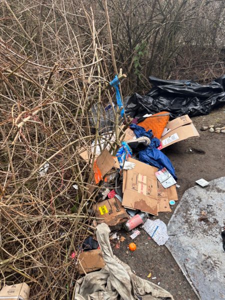 City of Seattle homeless encampment cleanup at 5851 W Green Lake Way N, Seattle WA 98103, 2026-02-18 (Green Lake)
