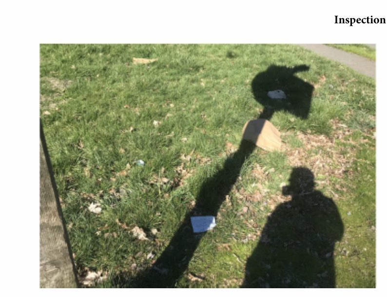 City of Seattle homeless encampment cleanup at ravenna blvd & olga park, 2022-02-25 (University District)