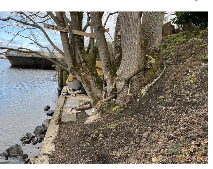 City of Seattle homeless encampment cleanup at Fremont Canal Park, 2025-03-17 (Fremont)
