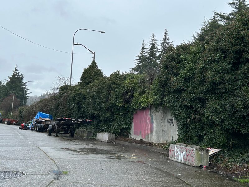 City of Seattle homeless encampment cleanup at 9th Ave S & S Bradford St, 2026-03-19 (Duwamish/SODO)