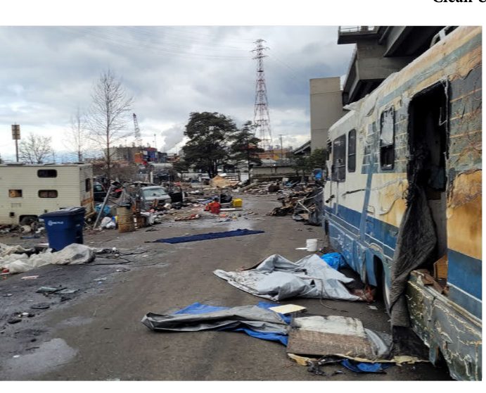 City of Seattle homeless encampment cleanup at 1st ave sw & sw michigan st vicinity anr n, 2023-03-20 (Riverview)