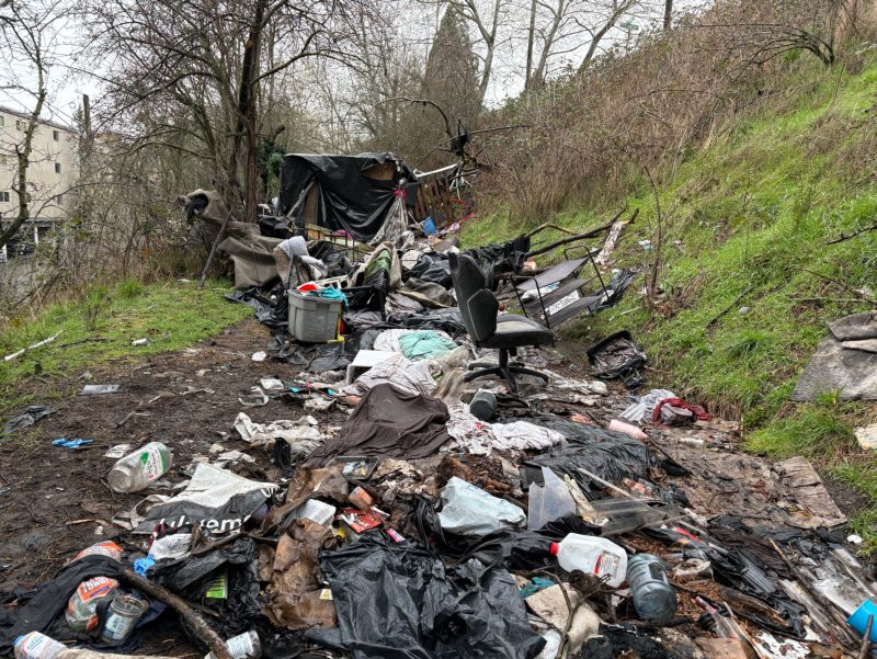 City of Seattle homeless encampment cleanup at 5th ave ne & ne pacific st, 2026-03-20 (Wallingford)