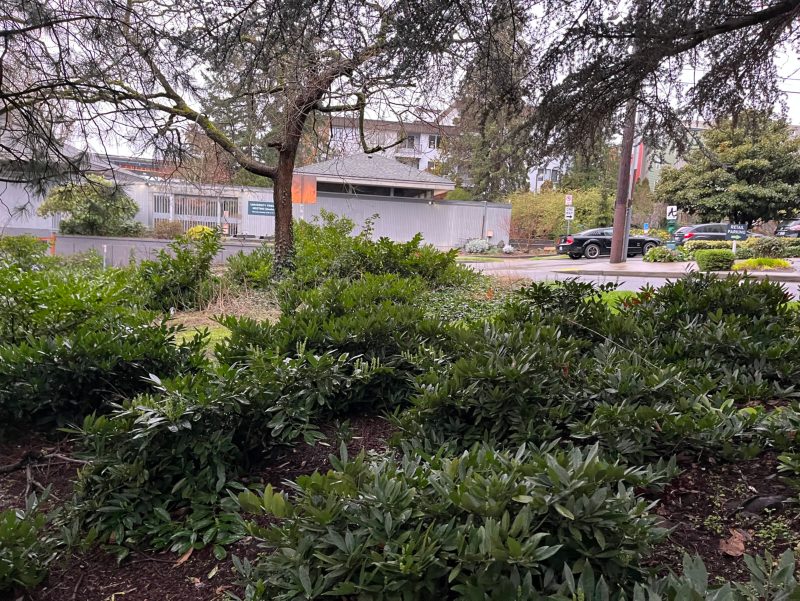 City of Seattle homeless encampment cleanup at ne 40th alley st to ne 40th st and & eastlake ave ne, 2026-03-20 (Wallingford)