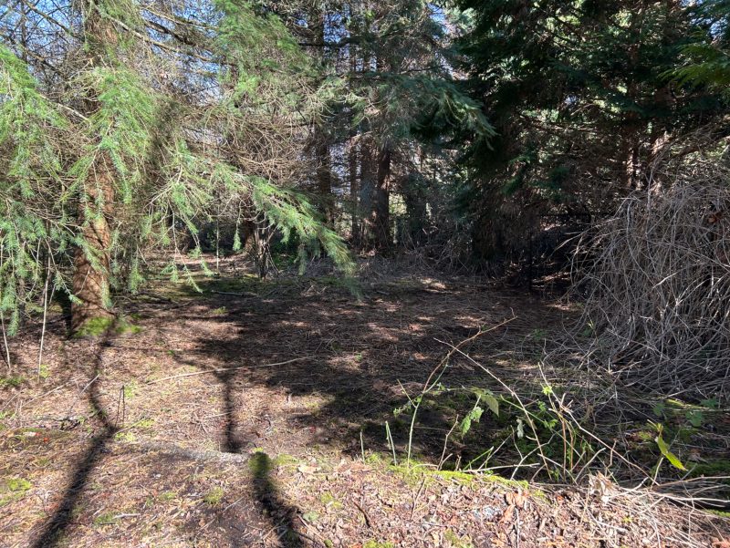 City of Seattle homeless encampment cleanup at Discovery Park, 2026-03-27 (Magnolia)