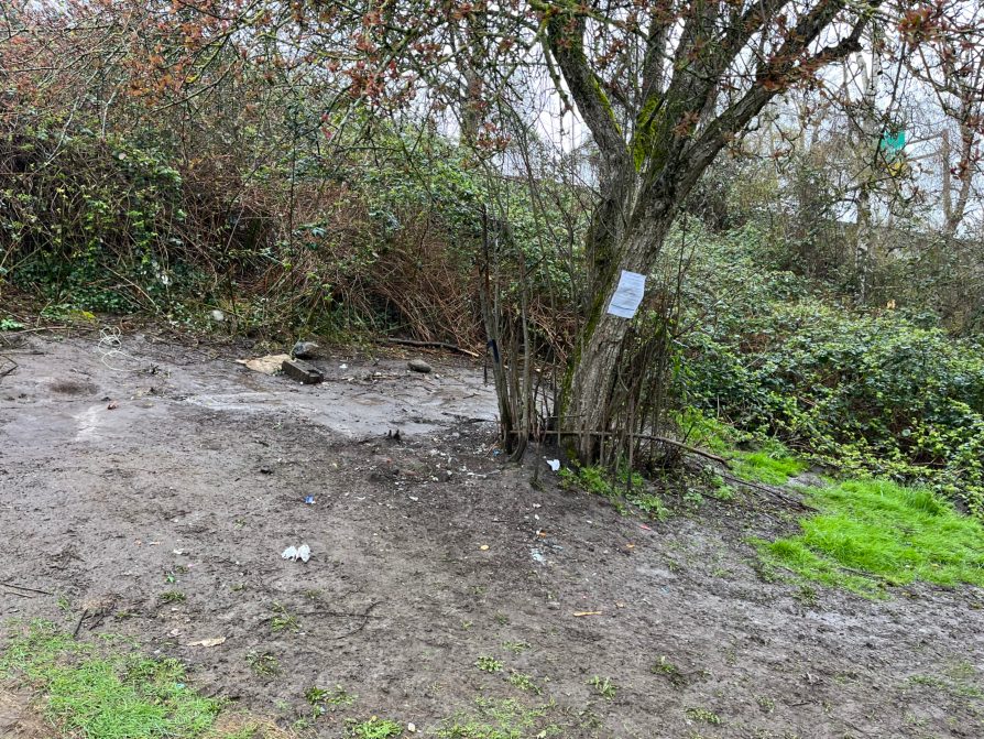 City of Seattle homeless encampment cleanup at nb i 5 off ramp & ne ravenna blvd, 2026-04-01 (Green Lake)