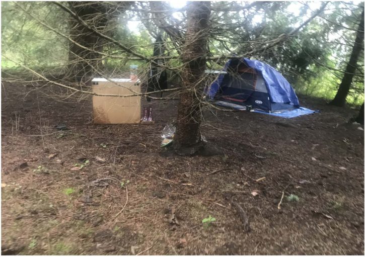 City of Seattle homeless encampment cleanup at Discovery Park, 2023-04-12 (Magnolia)