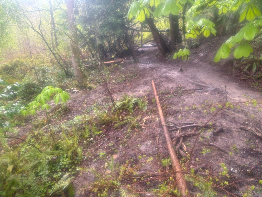 City of Seattle homeless encampment cleanup at Camp Long North, 2026-04-15 (North Delridge)