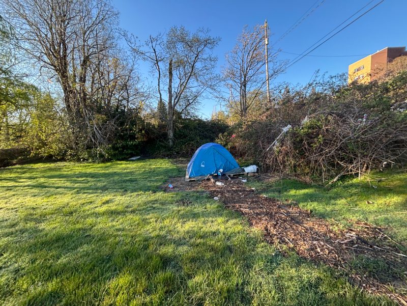 City of Seattle homeless encampment cleanup at Rotary Viewpoint Park, 2026-04-15 (North Delridge)