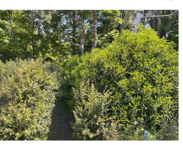 City of Seattle homeless encampment cleanup at Woodland Park Zoo, 2025-05-13 (Greenwood/Phinney Ridge)