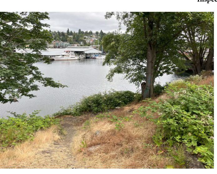 City of Seattle homeless encampment cleanup at Fremont Canal Park, 2025-06-20 (Fremont)