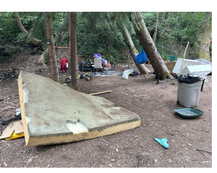 City of Seattle homeless encampment cleanup at Homewood Natural Area, 2025-07-03 (Olympic Hills/Victory Heights)