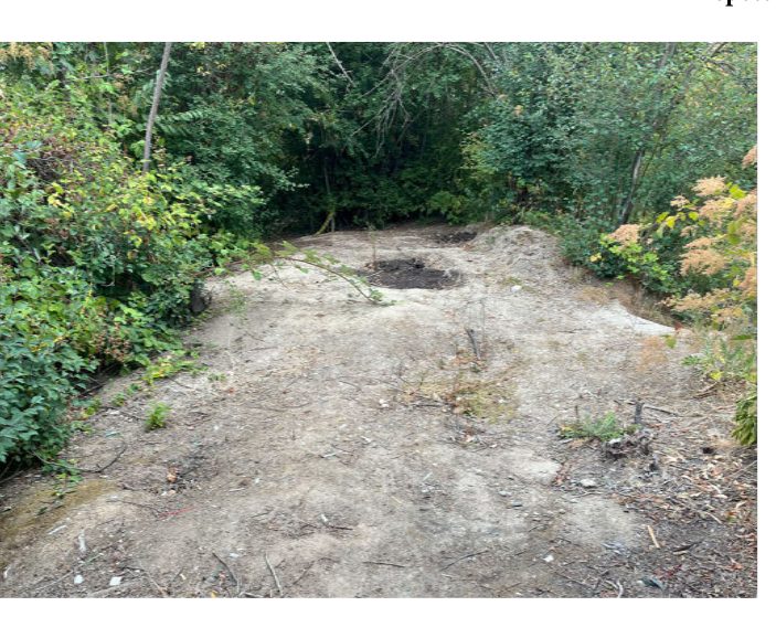 City of Seattle homeless encampment cleanup at seaview ave nw & 37th pl nw, 2025-07-23 (Sunset Hill/Loyal Heights)