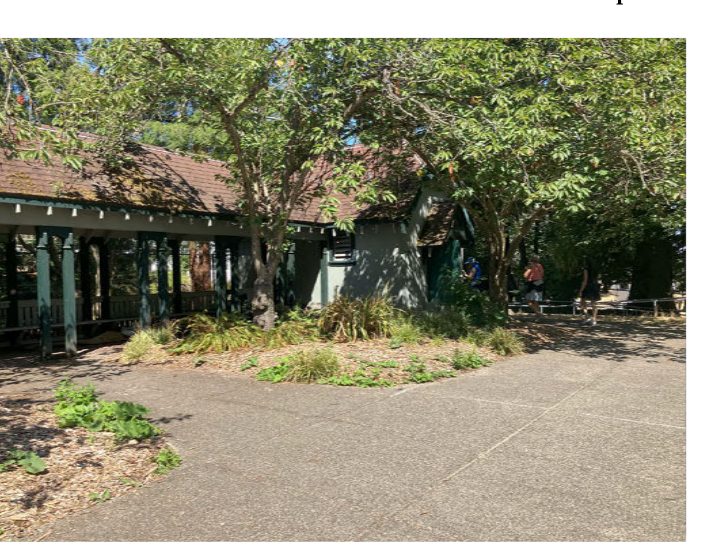 City of Seattle homeless encampment cleanup at Volunteer Park, 2025-08-01 (North Capitol Hill)