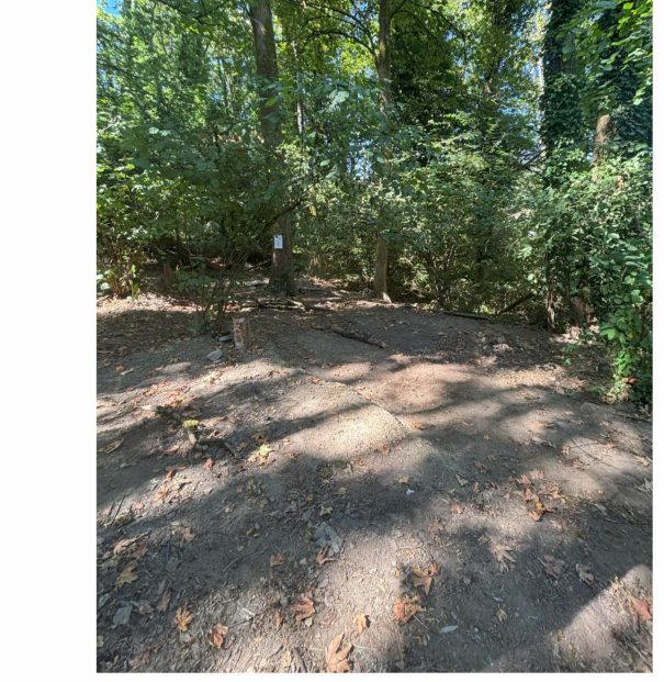 City of Seattle homeless encampment cleanup at delridge way sw & sw sylvan way, 2025-08-04 (High Point)