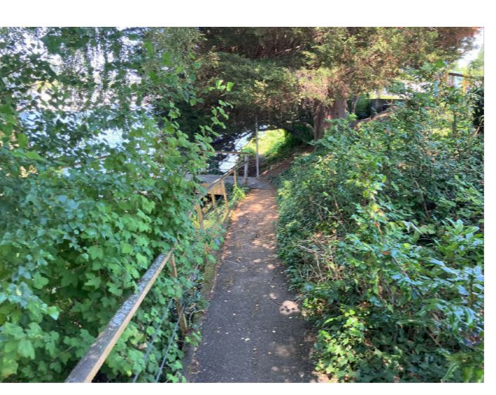 City of Seattle homeless encampment cleanup at Fremont Canal Park, 2024-08-06 (Fremont)