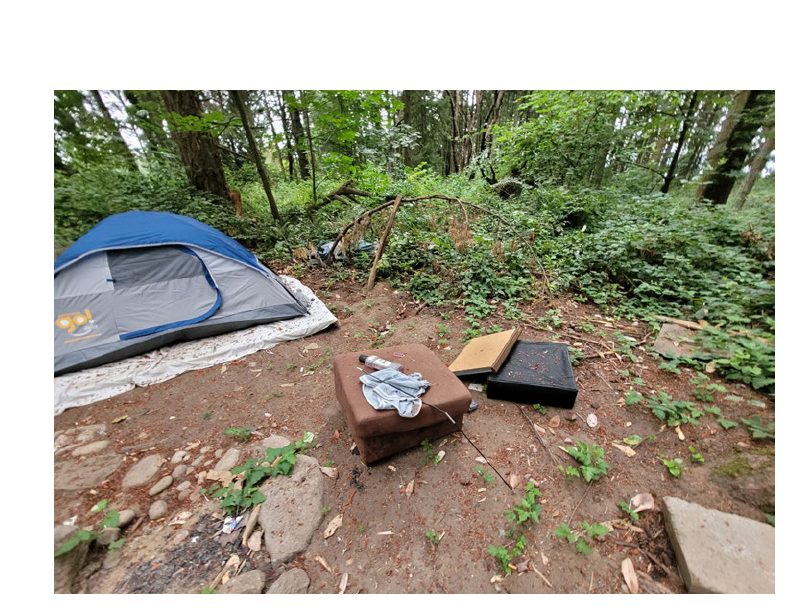 City of Seattle homeless encampment cleanup at Westcrest Park, 2022-08-10 (Highland Park)