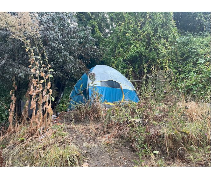 City of Seattle homeless encampment cleanup at Bellevue Place Park, 2025-08-20 (Cascade/Eastlake)