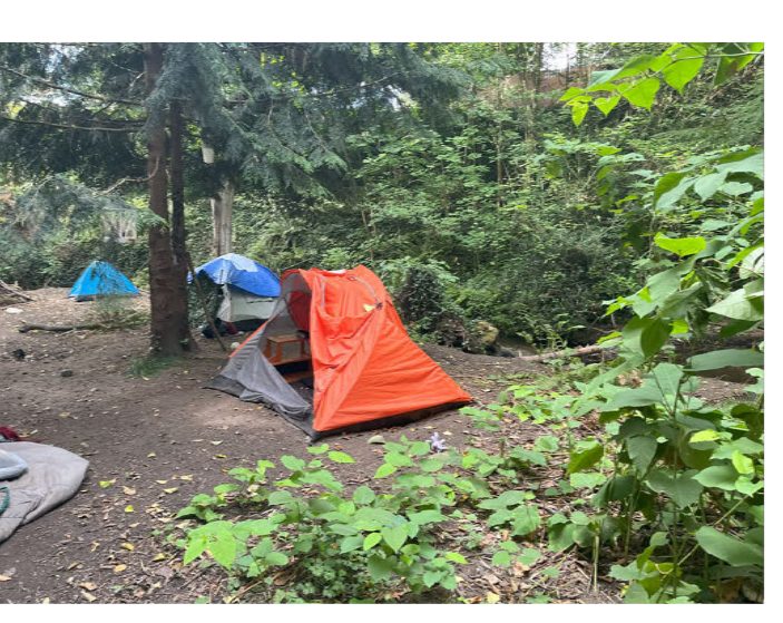City of Seattle homeless encampment cleanup at Homewood Natural Area, 2025-08-22 (Olympic Hills/Victory Heights)