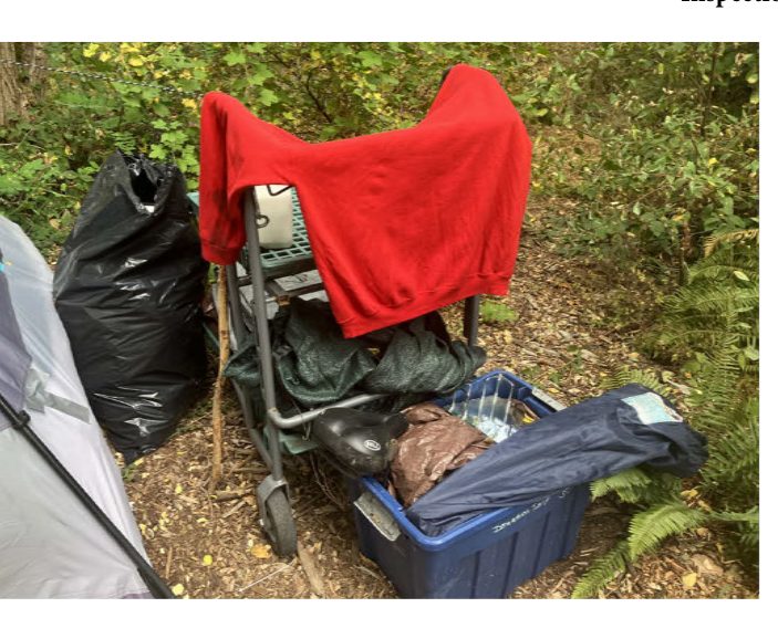 City of Seattle homeless encampment cleanup at North Acres Park, 2023-08-24 (Haller Lake)