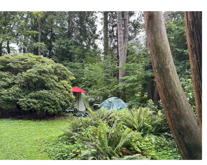 City of Seattle homeless encampment cleanup at Volunteer Park, 2025-09-03 (North Capitol Hill)