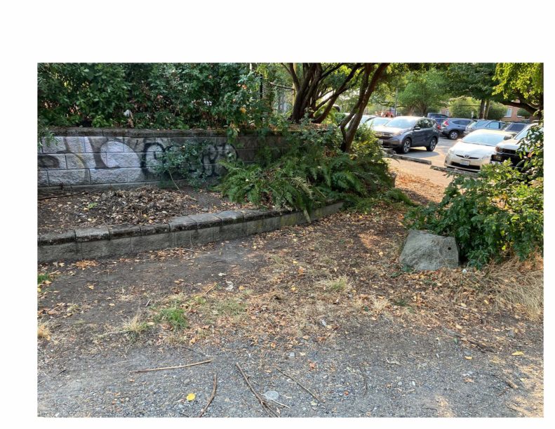 City of Seattle homeless encampment cleanup at TT Minor Playground, 2022-09-09 (Central Area/Squire Park)