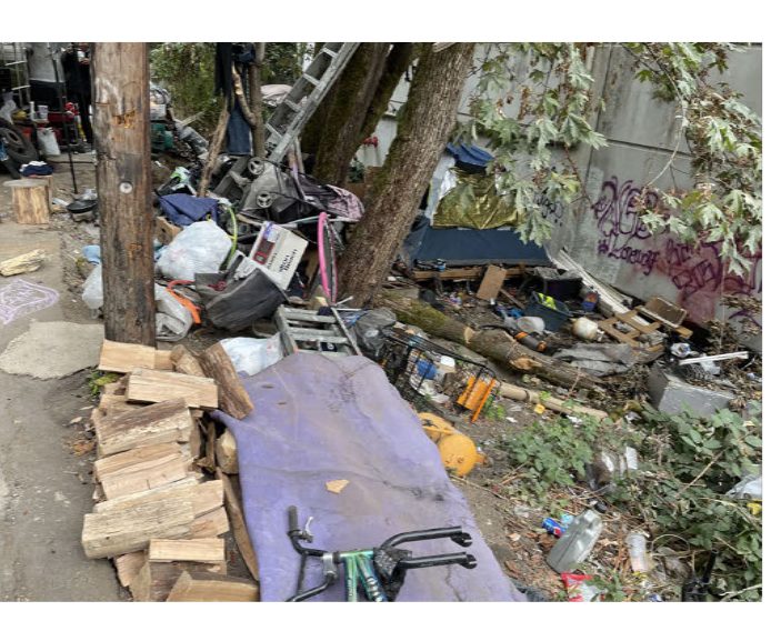 City of Seattle homeless encampment cleanup at detroit ave sw & sw myrtle st to sw kenyon st, 2022-09-27 (Highland Park)