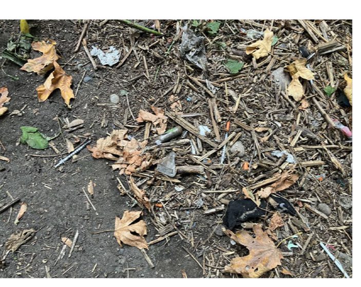 City of Seattle homeless encampment cleanup at Kinnear Park, 2025-10-01 (Interbay)