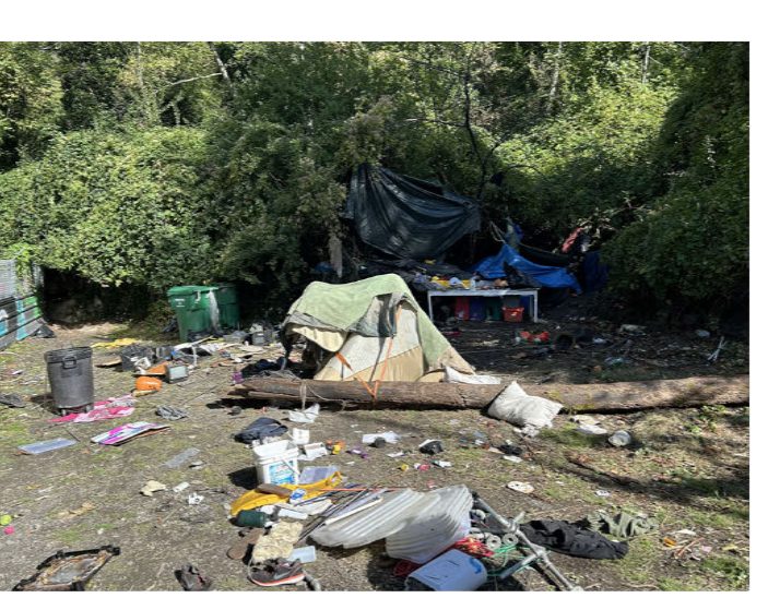 City of Seattle homeless encampment cleanup at sw queen anne greenbelt & w garfield st, 2025-10-08 (Queen Anne)