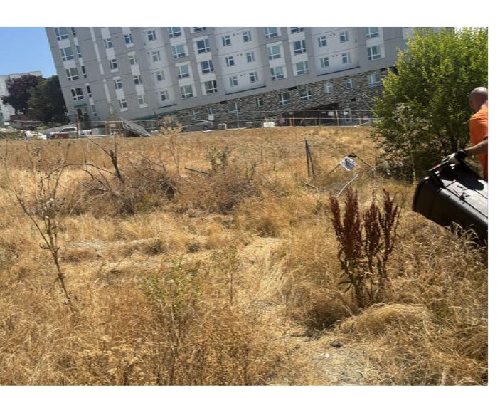 City of Seattle homeless encampment cleanup at yesler way between 8th ave & 6th ave, 2025-10-10 (First Hill)