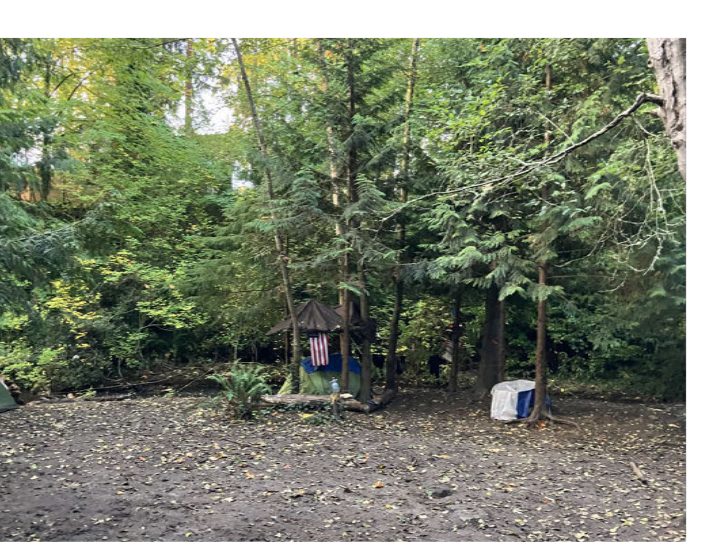 City of Seattle homeless encampment cleanup at Homewood Natural Area, 2025-10-24 (Olympic Hills/Victory Heights)