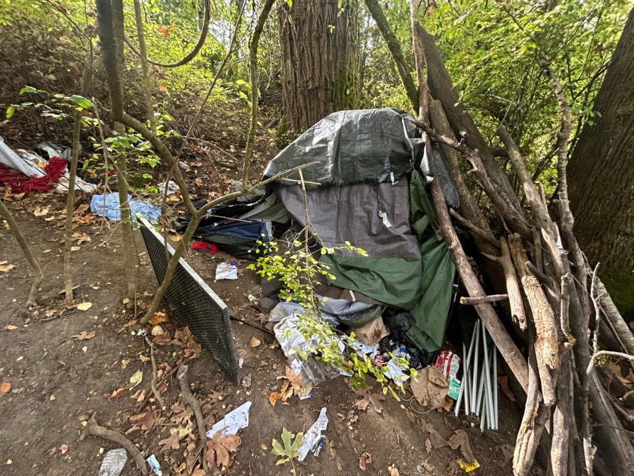 City of Seattle homeless encampment cleanup at Washington Park Japanese Garden, 2025-11-13 (Montlake/Portage Bay)