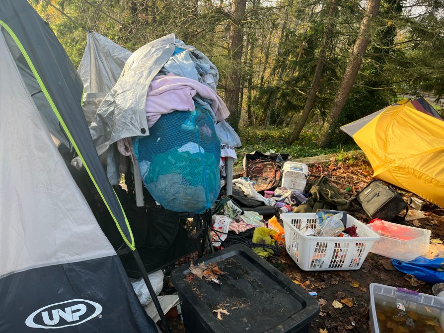 City of Seattle homeless encampment cleanup at Sam Smith Park, 2025-11-19 (Mt. Baker/North Rainier)