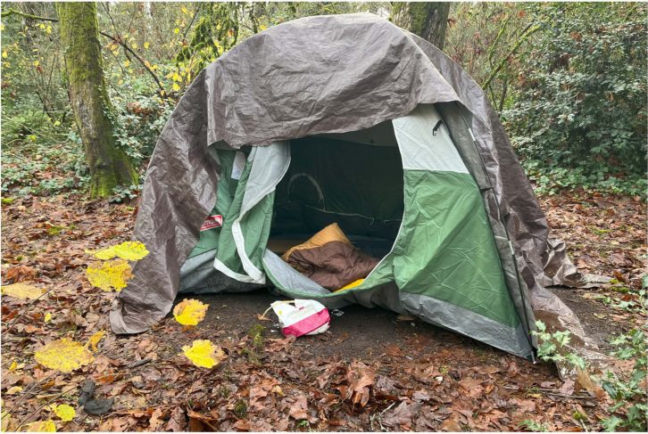 City of Seattle homeless encampment cleanup at Ravenna Park, 2024-11-26 (Ravenna/Bryant)