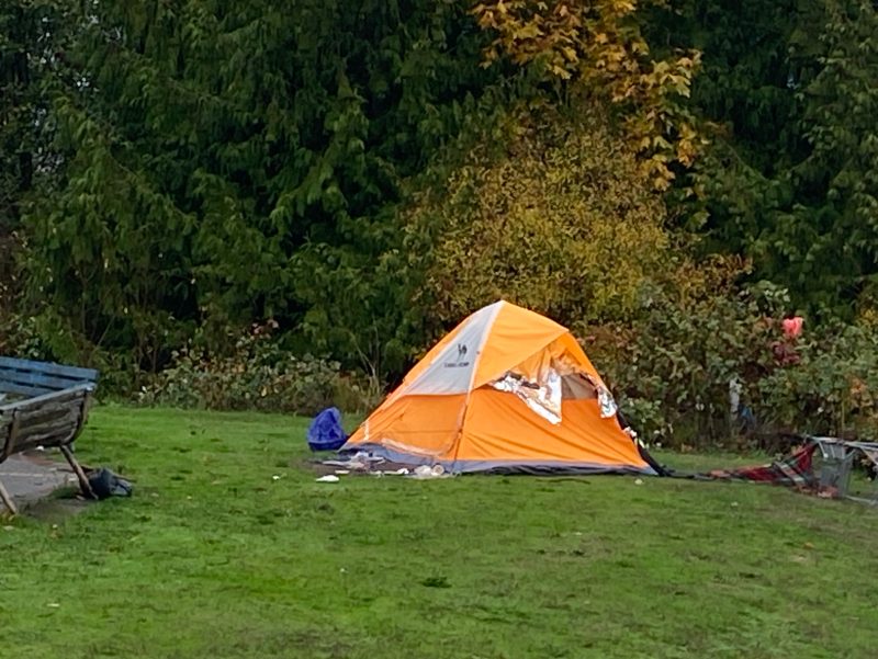 City of Seattle homeless encampment cleanup at Rotary Viewpoint Park, 2025-12-03 (North Delridge)
