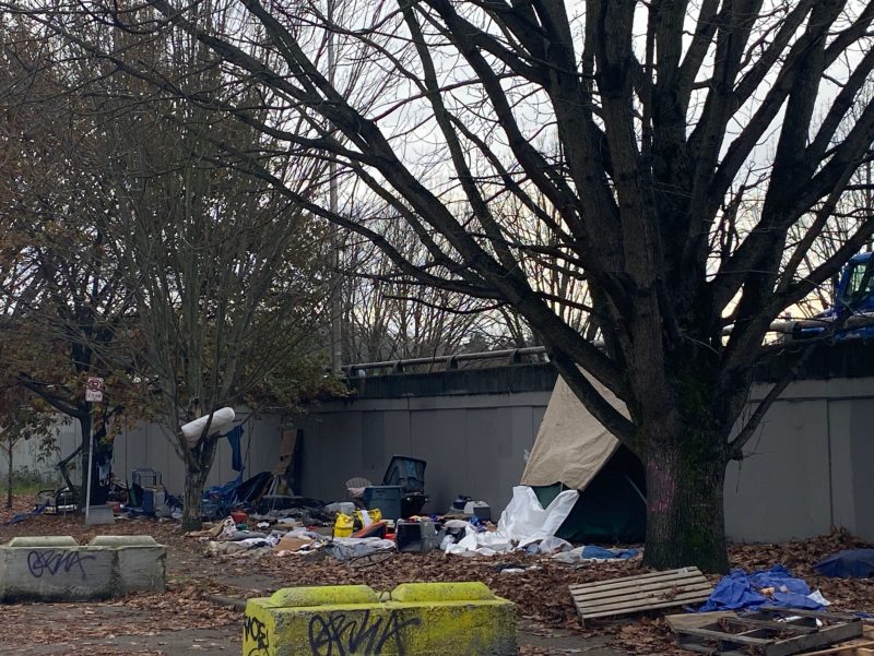 City of Seattle homeless encampment cleanup at s harney st & 12th ave s, 2025-12-11 (Georgetown)
