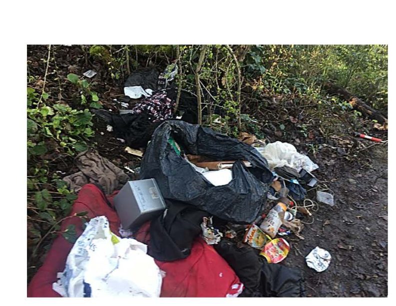 City of Seattle homeless encampment cleanup at MLK Park, 2018-04-10 (Central Area/Squire Park)