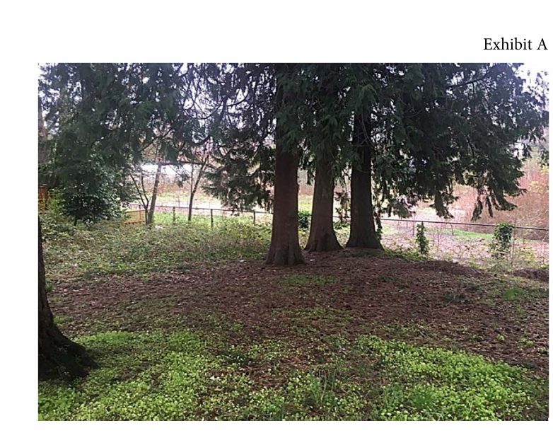 City of Seattle homeless encampment cleanup at Beer Sheva Park, 2018-04-05 (Rainier Beach)
