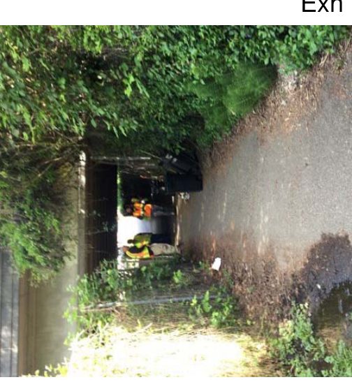 City of Seattle homeless encampment cleanup at bill dawson trail & eastbound 520 exit, 2019-05-01 (Montlake/Portage Bay)